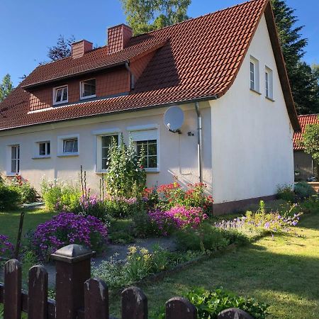 Sommerhaus Boldevitz Auf Ruegen Bagian luar foto